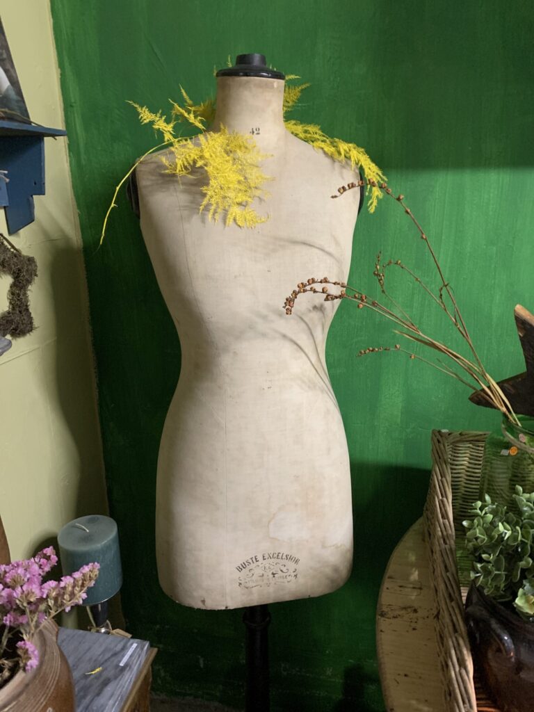 Paspop